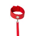PARTY HARD CIRCUS COLLAR