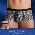 ZEBRA BOXER