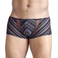 BLACK PANTS WITH TRANSPARENT STRIPES