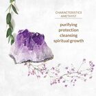 LA GEMMES - LAY-ON VIBRATOR AMETHYST