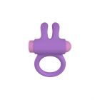 RINY VIBRATING RING W/ SILICONE USB CONTROLLER  LILAC