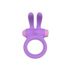 RINY VIBRATING RING W/ SILICONE USB CONTROLLER  LILAC