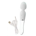 WAND LED VIBRATOR - LIAISON