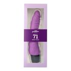 REALISTIC VIBRATOR PURPLE Nº 71