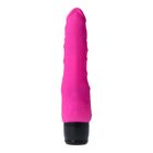 REALISTIC VIBRATOR PINK  Nº 70