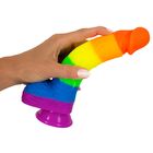 PRIDE! RAINBOW DILDO WITH SUCTION CUP – YOU2TOYS