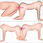 2 IN 1 VIBRATOR + BUTT PLUG – COUPLES CHOICE