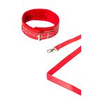 PARTY HARD CIRCUS COLLAR