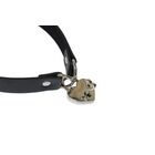 PARTY HARD UTOPIA COLLAR