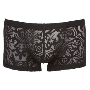 TRANSPARENT PANTS WITH VELVET PRINT
