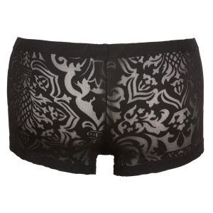 TRANSPARENT PANTS WITH VELVET PRINT