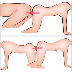 2 IN 1 VIBRATOR + BUTT PLUG – COUPLES CHOICE