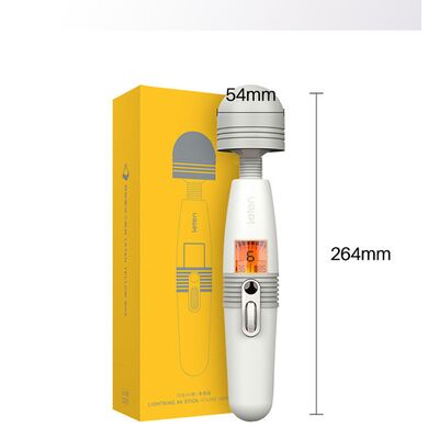 LETEN LIGHTNING AV MASSAGER VIBRATOR