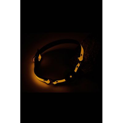 RADIANT BALL GAG GLOW IN THE DARK ORANGE
