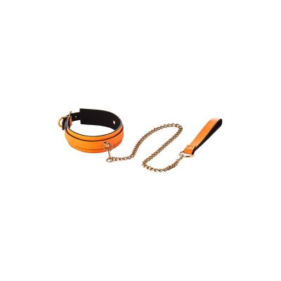 RADIANT COLLAR AND LEASH GLOW IN THE DARK ORANGE