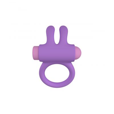RINY VIBRATING RING W/ SILICONE USB CONTROLLER  LILAC