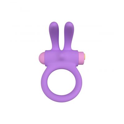 RINY VIBRATING RING W/ SILICONE USB CONTROLLER  LILAC