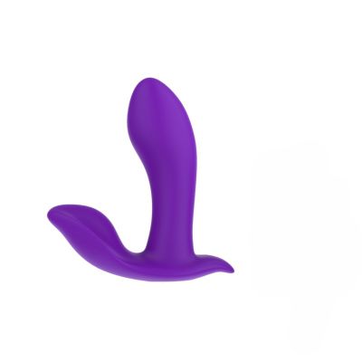 VEE PURPLE PANTY VIBE