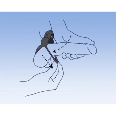 ANELLO – APP- CONTROLLED VIBRATING COCK RING  HONEY PLAYBOX