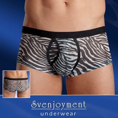 ZEBRA BOXER