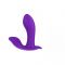 VEE PURPLE PANTY VIBE